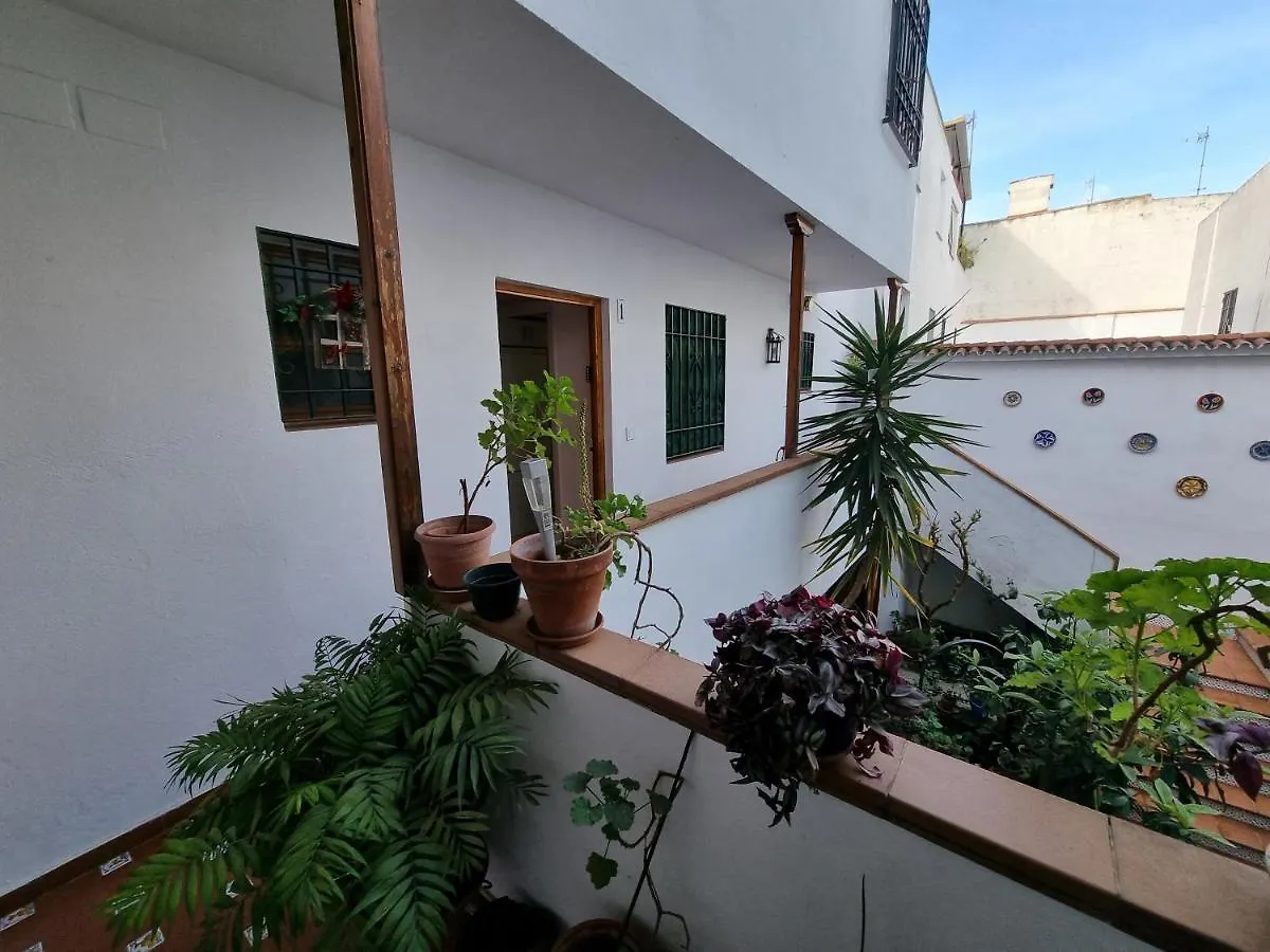 Apartamentos En Patio Cordobes San Basilio Cordoba Apartment